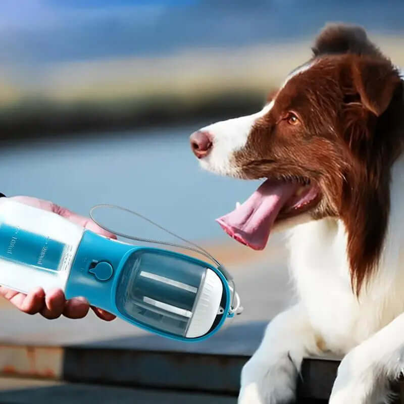Dog Water Cup Drinking Food Garbage Bag Three-in-one Portable Small Multi-functional