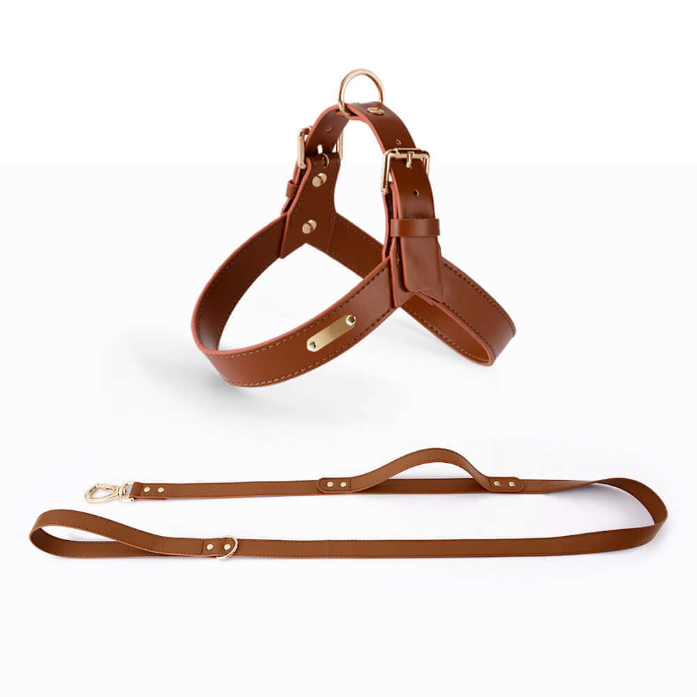 Summer Dog Vest Chest Harness and Leash in brown leather with matching leash.