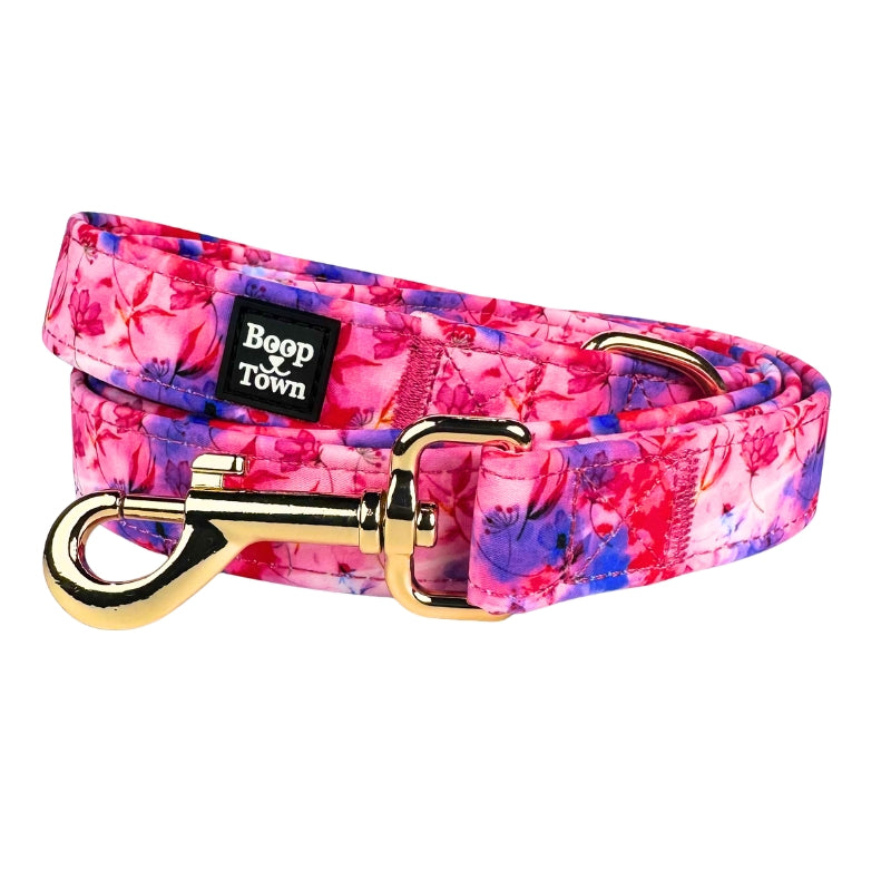 Boop Town Cute Dog Leashes 5 Feet Long