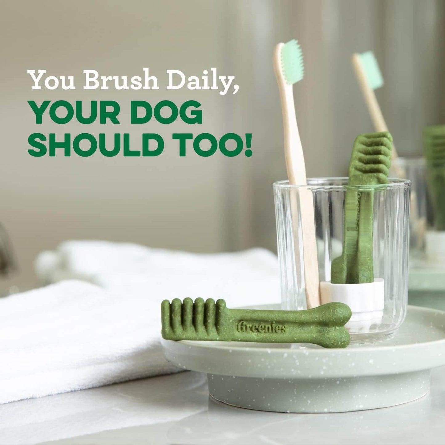 GREENIES Original Large Dental Treats displayed with toothbrushes promoting daily dental hygiene for dogs.