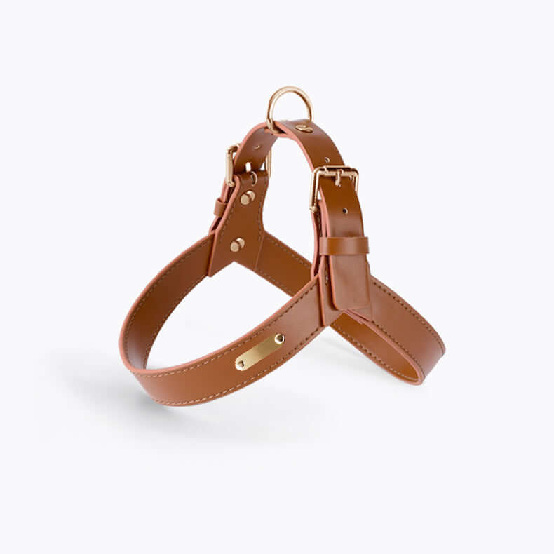 Summer Dog Vest Chest Harness and Leash in brown leather with golden hardware, perfect for summertime walks.