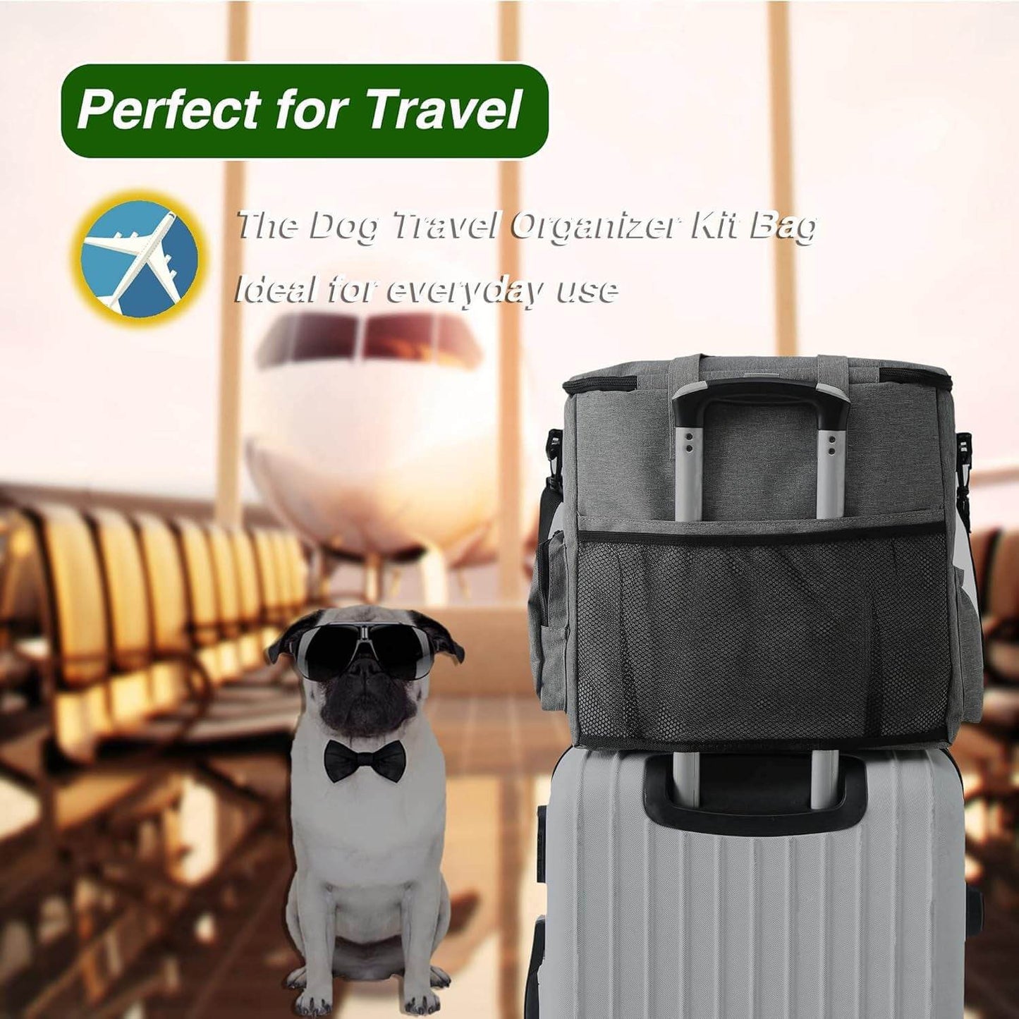 Sac de voyage pour chien approuvé par les compagnies aériennes – Range tous les accessoires de votre chien
