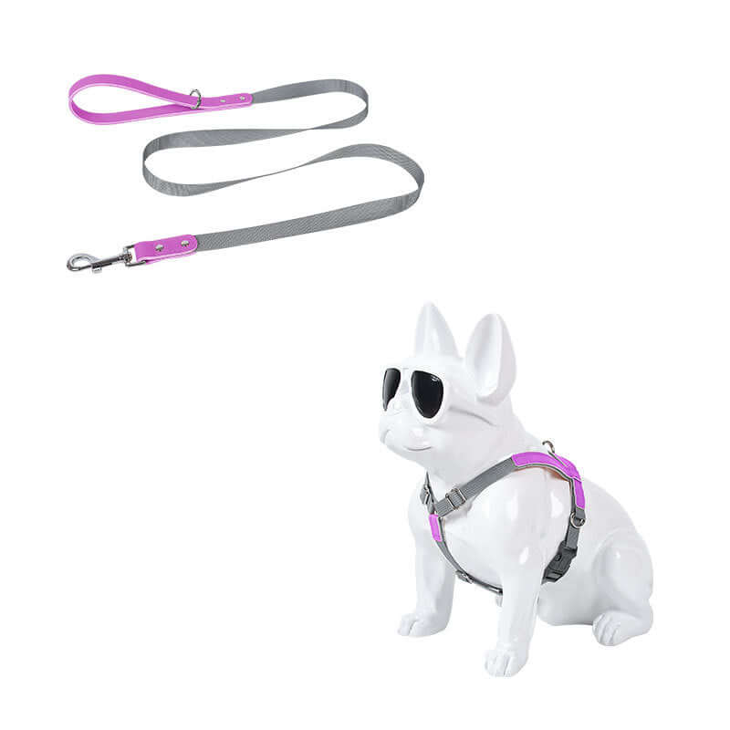 Leather Dog Harness Leash Set displayed on a stylish dog model wearing sunglasses.