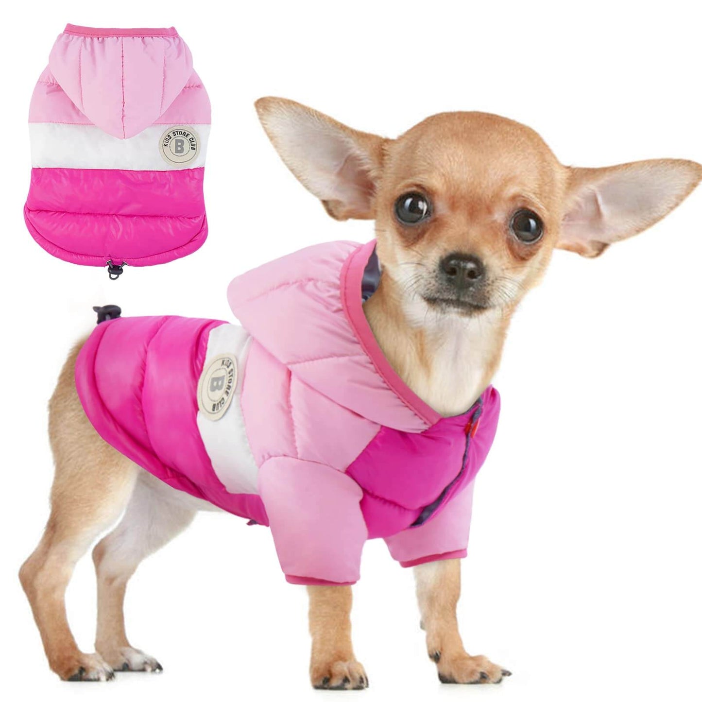 Cute small dog wearing a bright pink winter jacket for small dogs with a hood, perfect for cold weather.