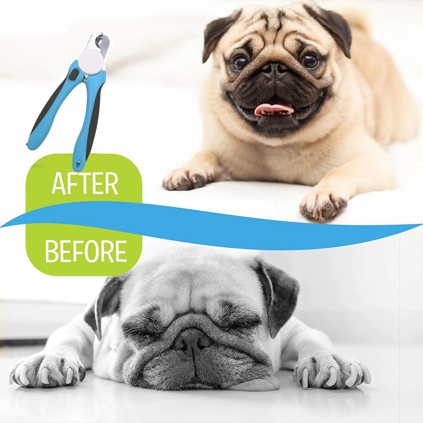 Pet Nail Clippers and Trimmers with Safety Guard