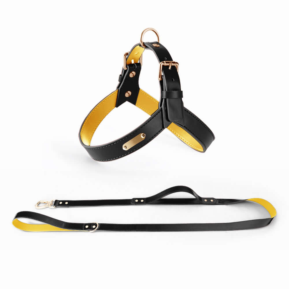 Summer Dog Vest Chest Harness and Leash in black with yellow lining and matching leash, perfect for summer.