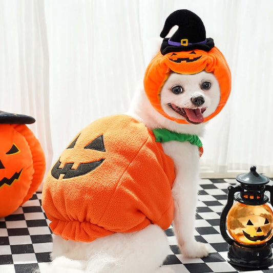 Halloween Pumpkin Pet Costume – Vest, Hat & Set Options