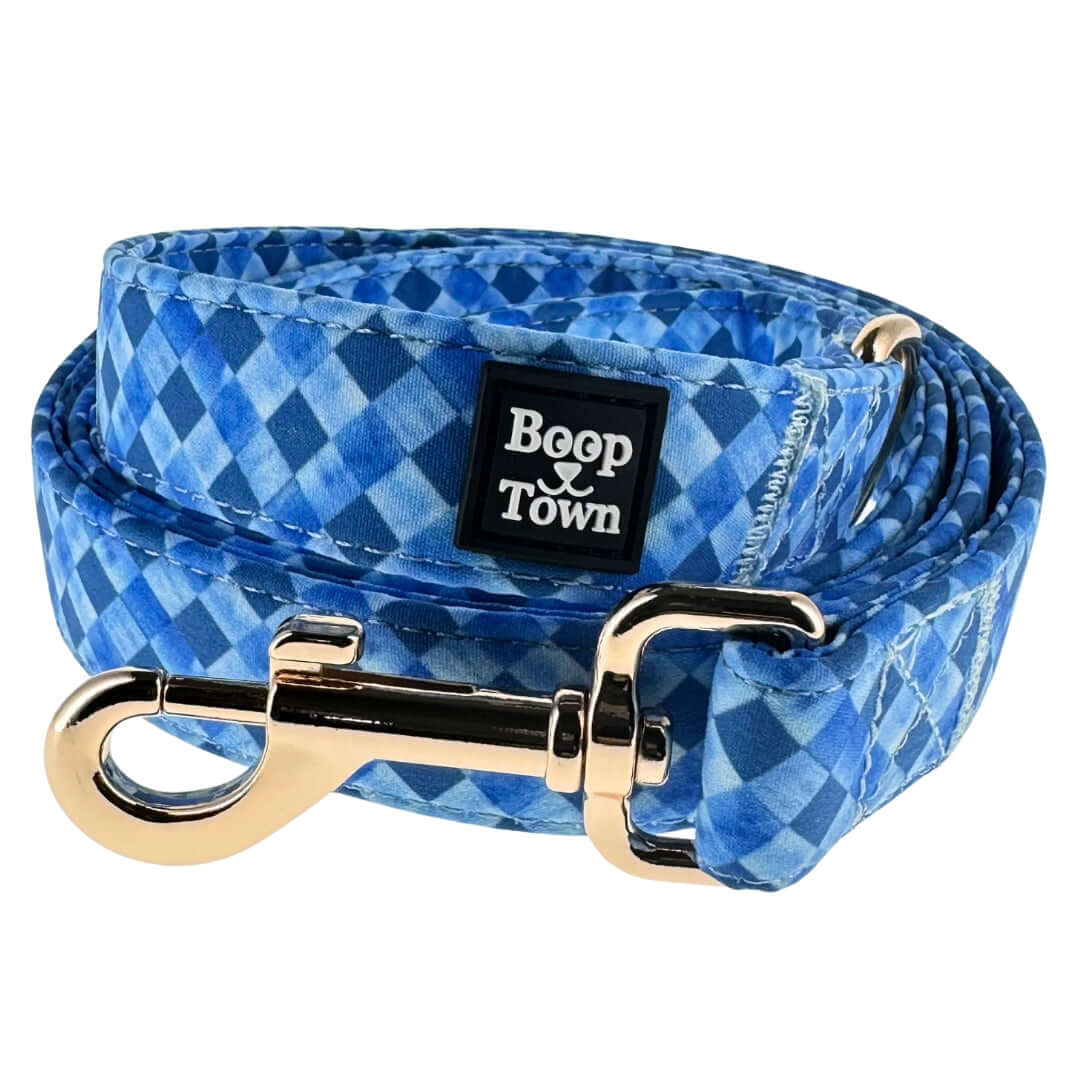 Boop Town Cute Dog Leashes 5 Feet Long in blue checkered pattern with durable metal hardware.