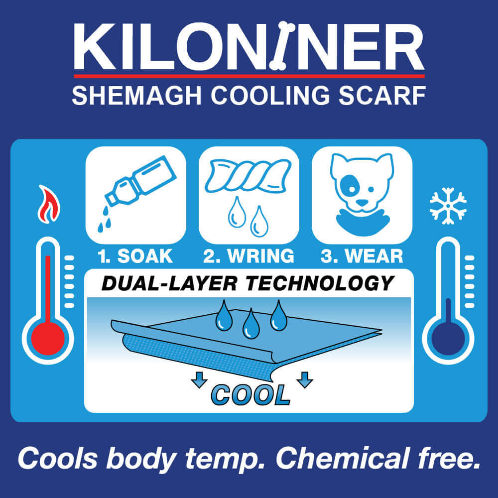 Cooling Shemagh Scarf for Dogs, instructional graphic showing how to use the cooling scarf.