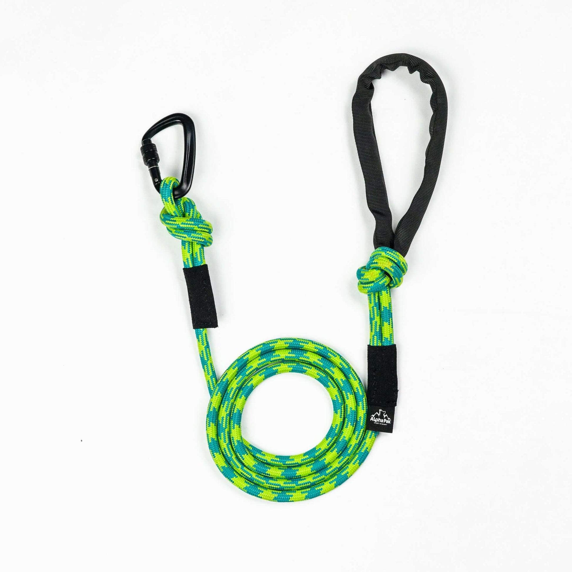 Kernmantle Climbing Rope Dog Leash featuring vibrant green and blue colors with a durable carabiner.