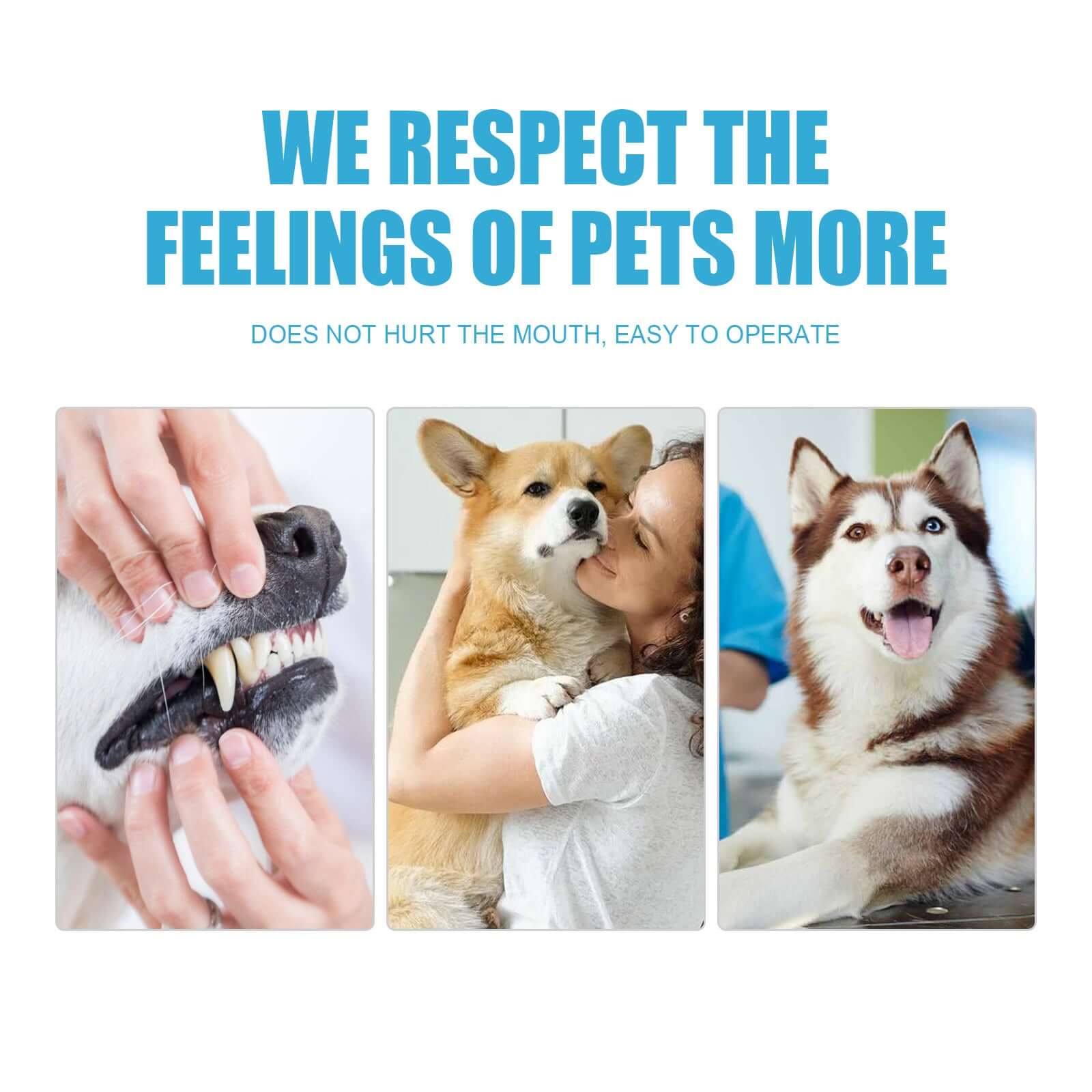 Dog Edible Toothpaste for Oral Care and Fresh Breath with gentle application and happy pets.