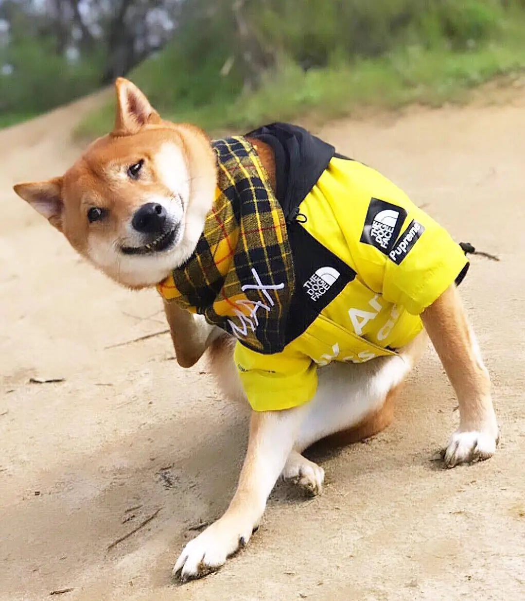 Dog Rain Jacket for Large Pets