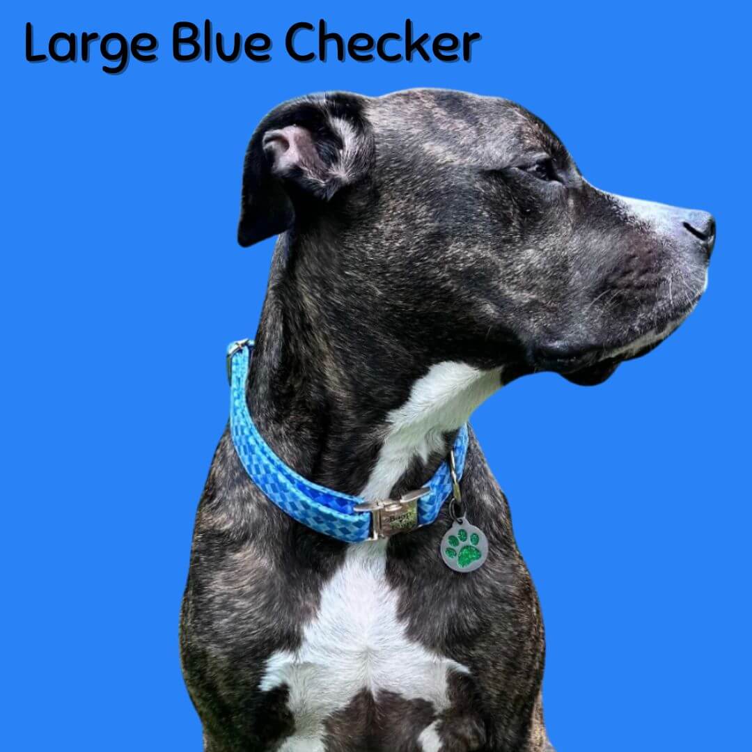 Boop Town Durable Soft Comfortable Cotton Dog Collars on a large blue checker patterned collar worn by a dog.