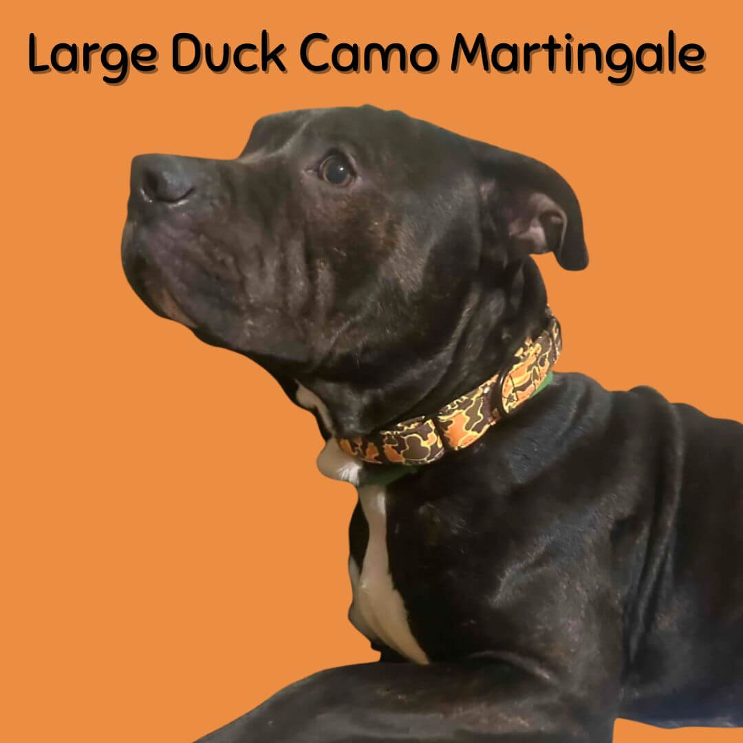 Boop Town Durable Soft Comfortable Cotton Dog Collars on a dog with a Large Duck Camo Martingale collar.