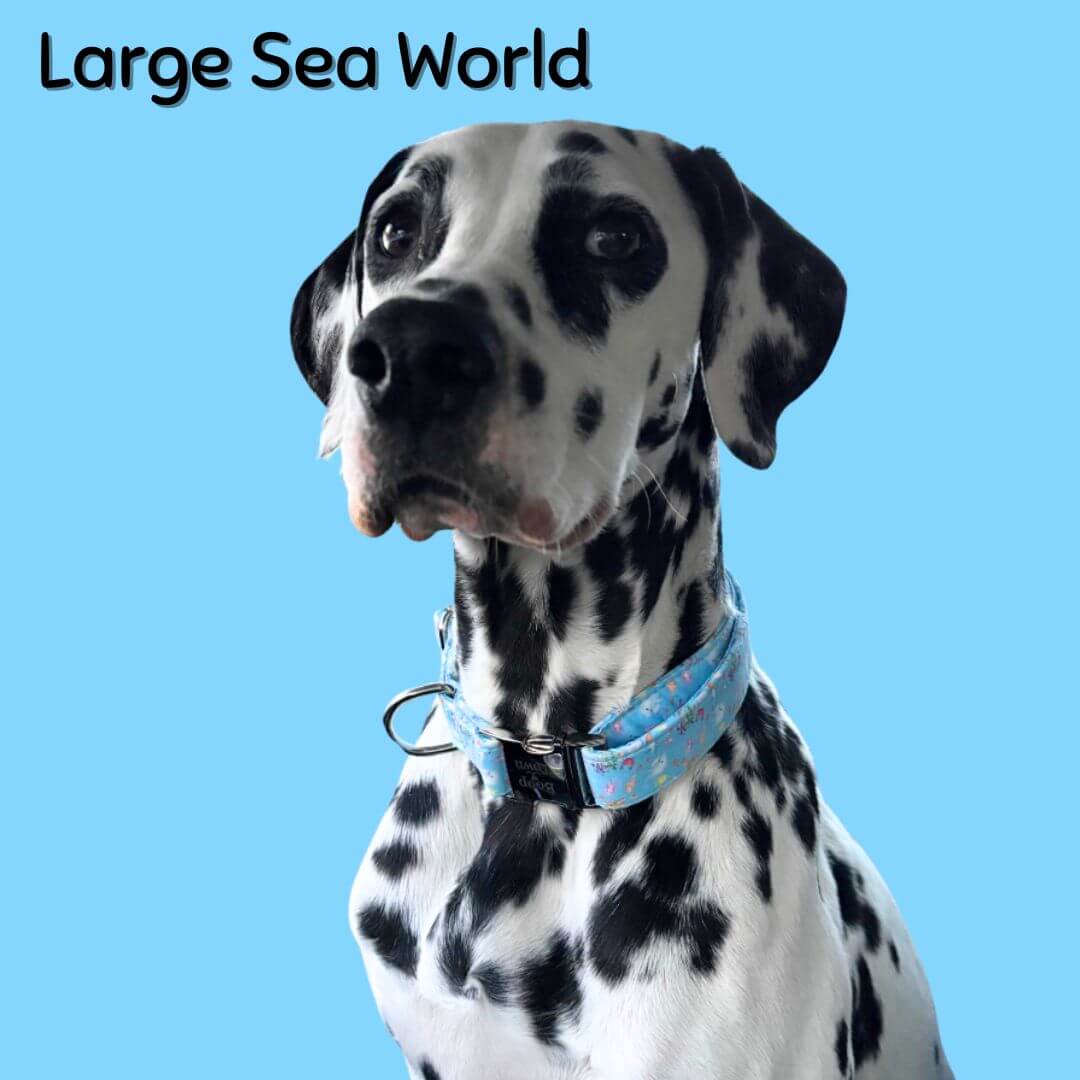 Boop Town Durable Soft Comfortable Cotton Dog Collars on a Dalmatian dog with a blue background.