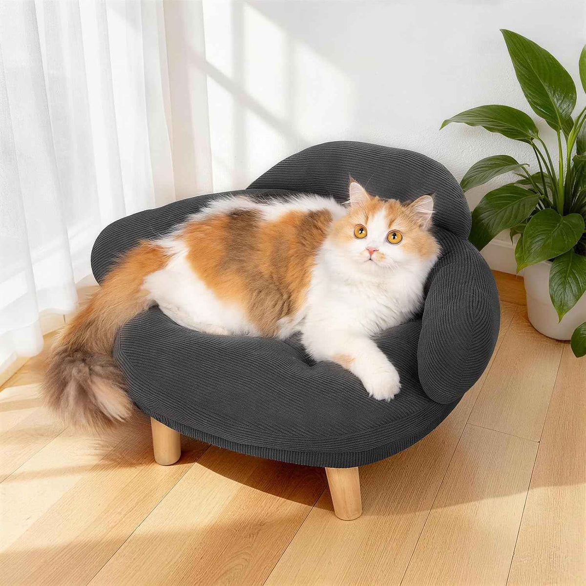 Furniture Style Cat Sofa Bed Velvet Pet Couch with Wood Legs