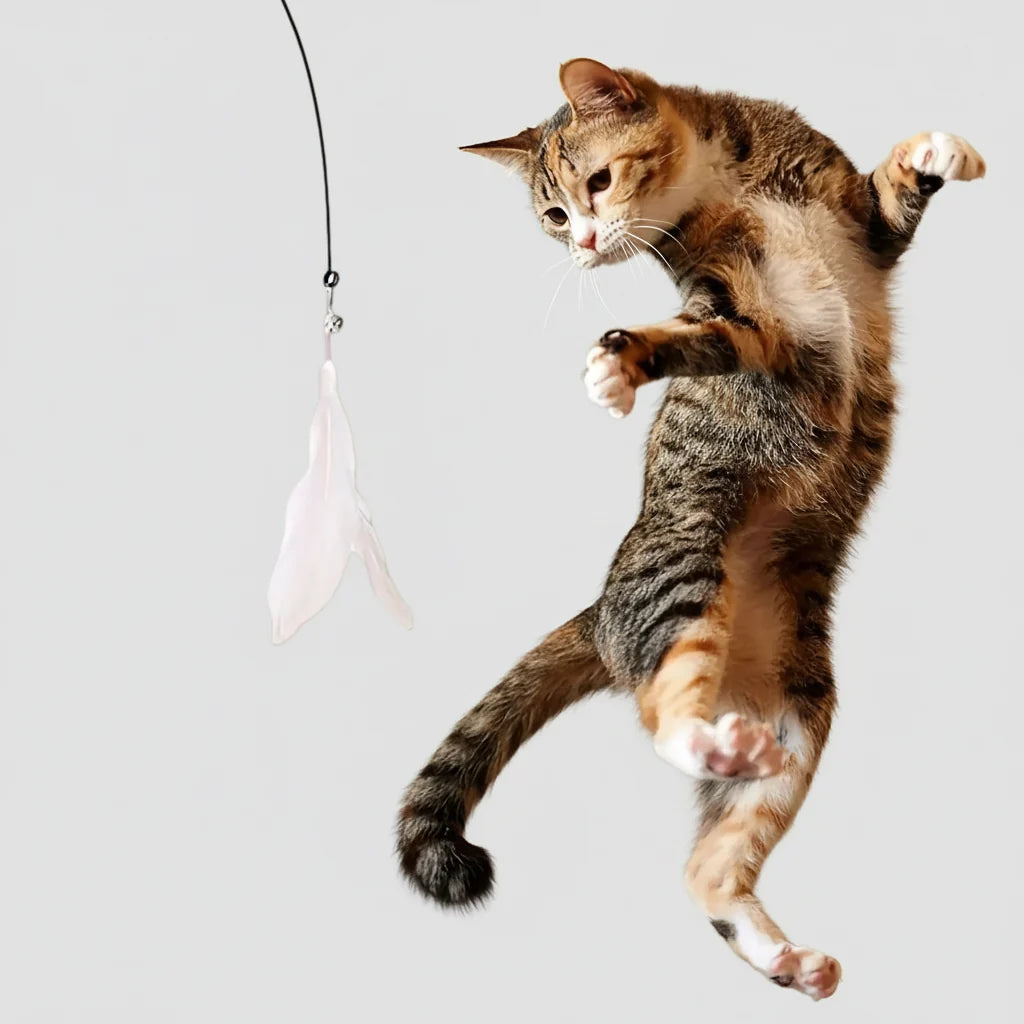 Feather Chase Interactive Cat Wand