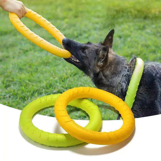 AquaFetch Dog Training Ring