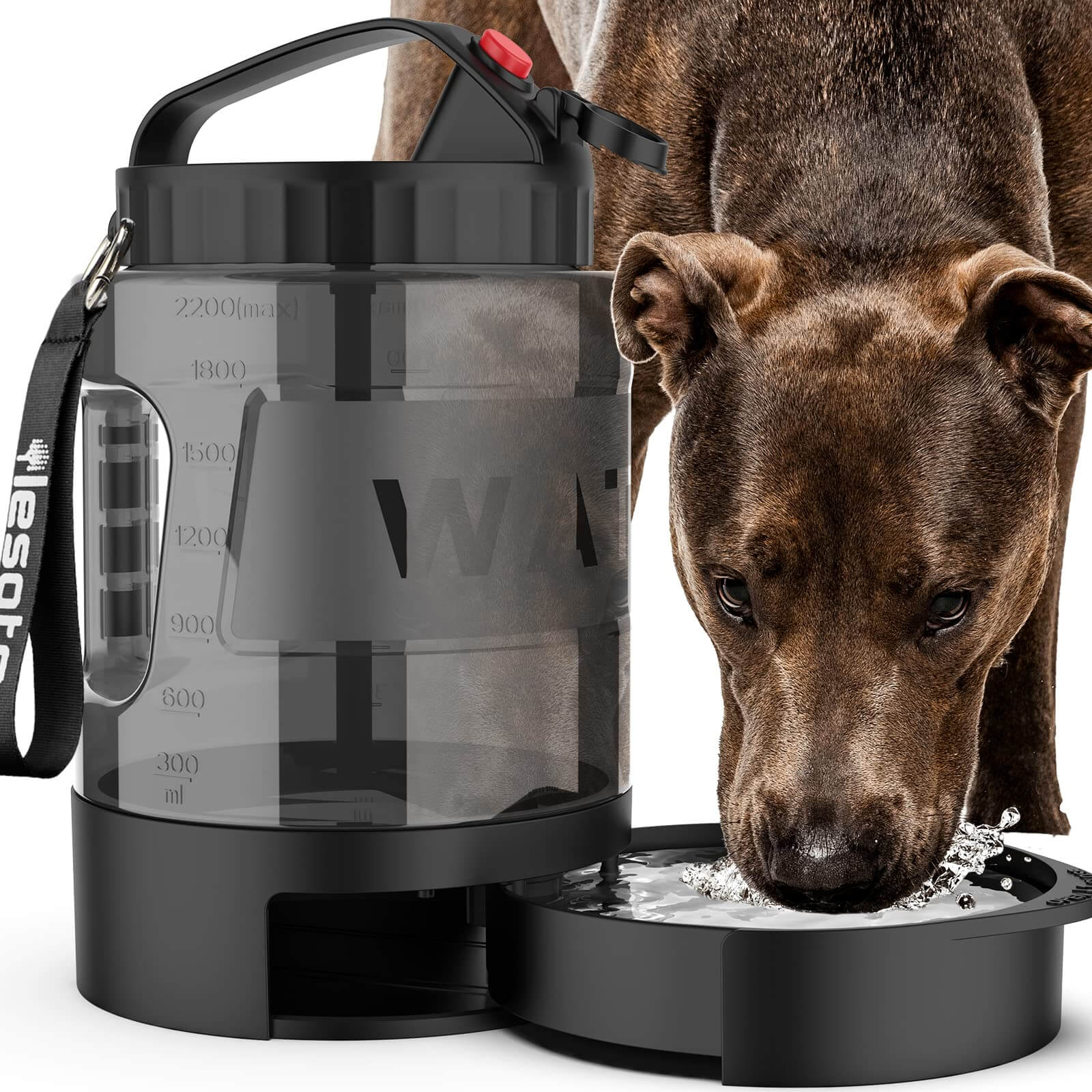 Large Dog Travel Water Bowl Dispenser-6
