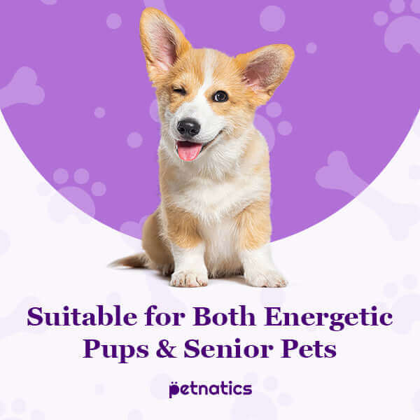 PawBalm Reduced Slip Dog Paw Balm for both energetic pups and senior pets by Petnatics.