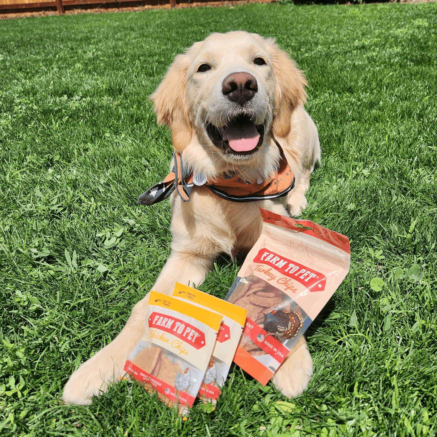 Puppy Packs Snacks Dog Treat Starter Pack Single-Ingredient