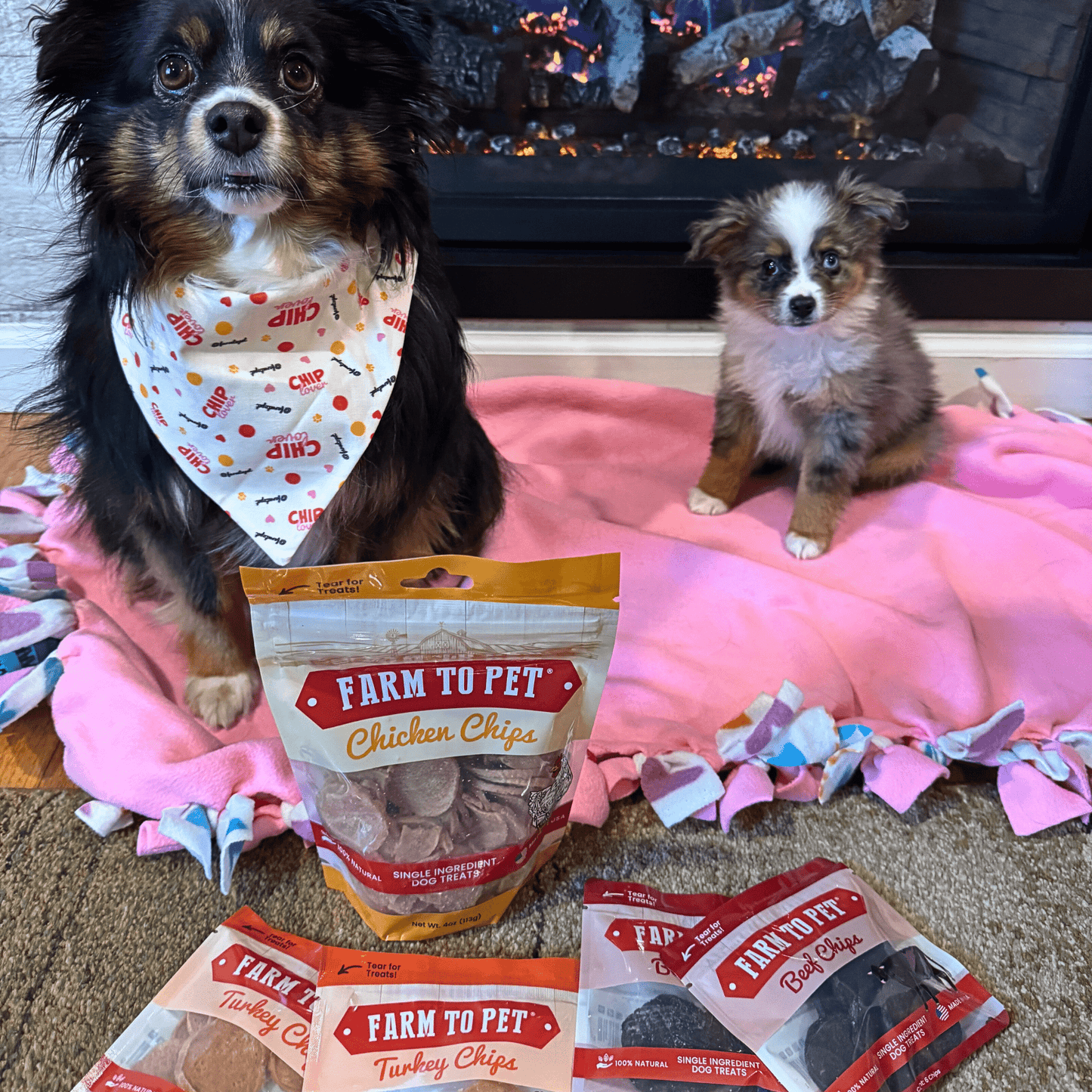 Puppy Packs Snacks Dog Treat Starter Pack Single-Ingredient