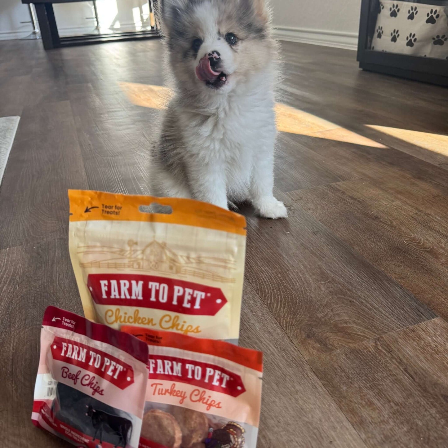 Puppy Packs Snacks Dog Treat Starter Pack Single-Ingredient