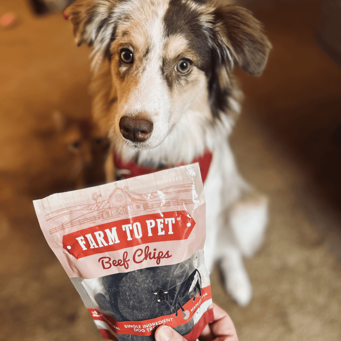Puppy Packs Snacks Dog Treat Starter Pack Single-Ingredient