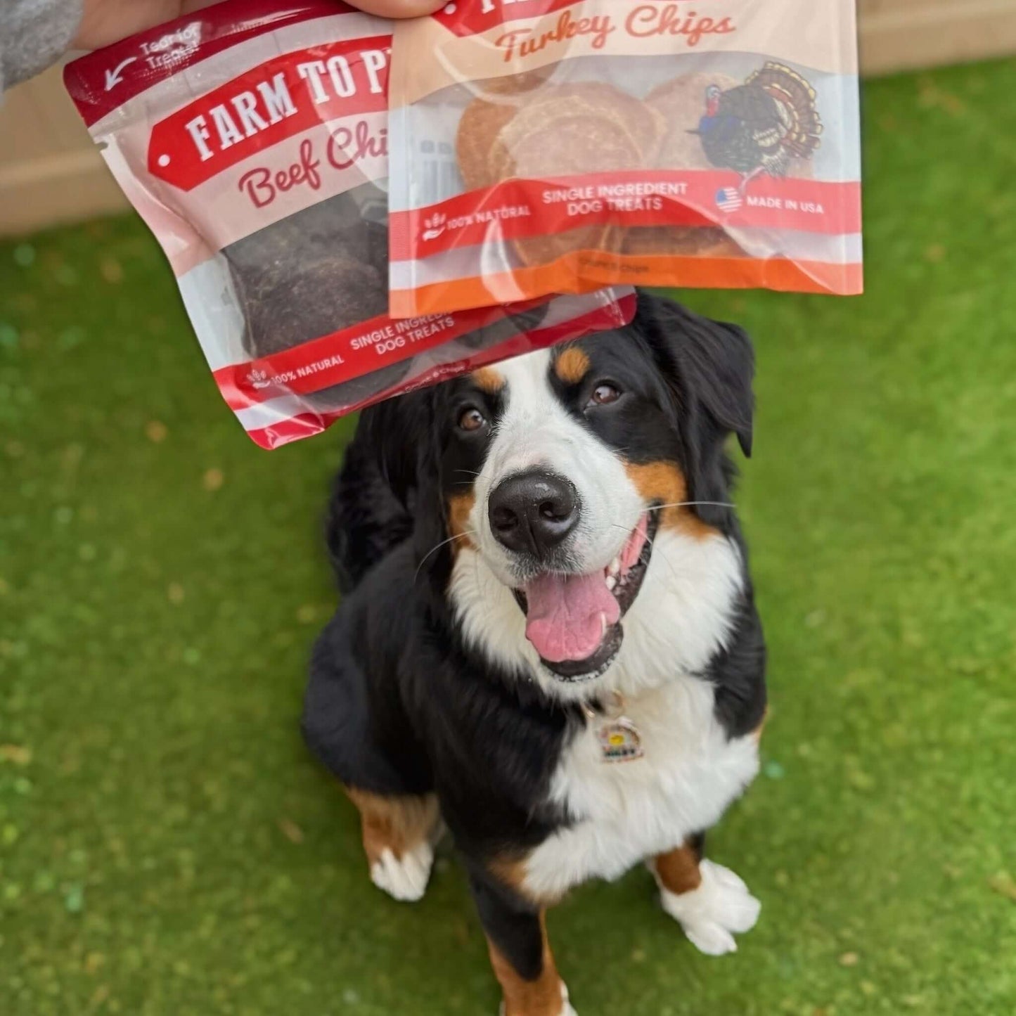 Puppy Packs Snacks Dog Treat Starter Pack Single-Ingredient