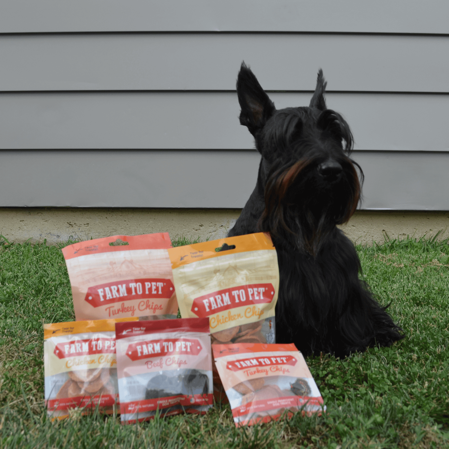 Puppy Packs Snacks Dog Treat Starter Pack Single-Ingredient