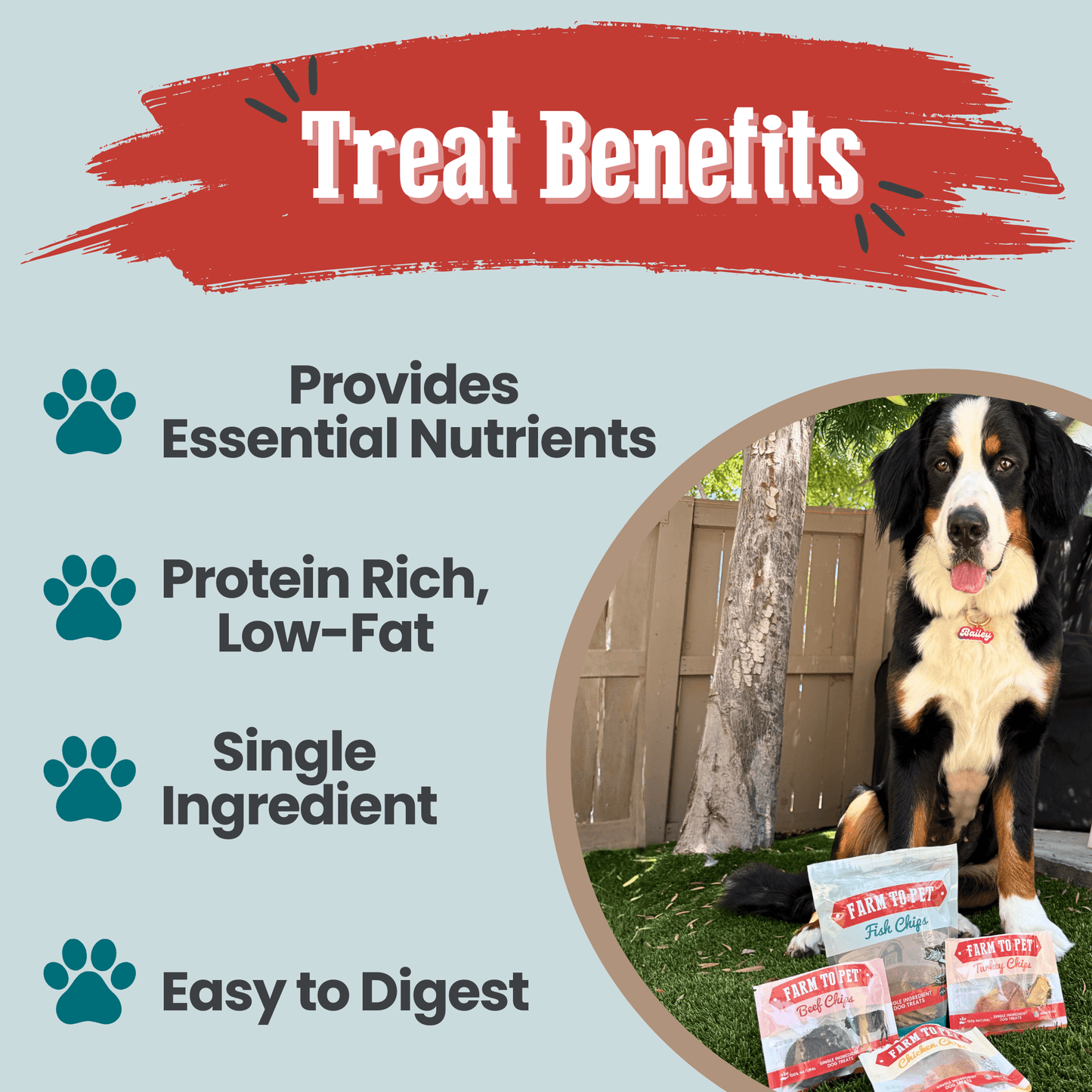 Puppy Packs Snacks Dog Treat Starter Pack Single-Ingredient