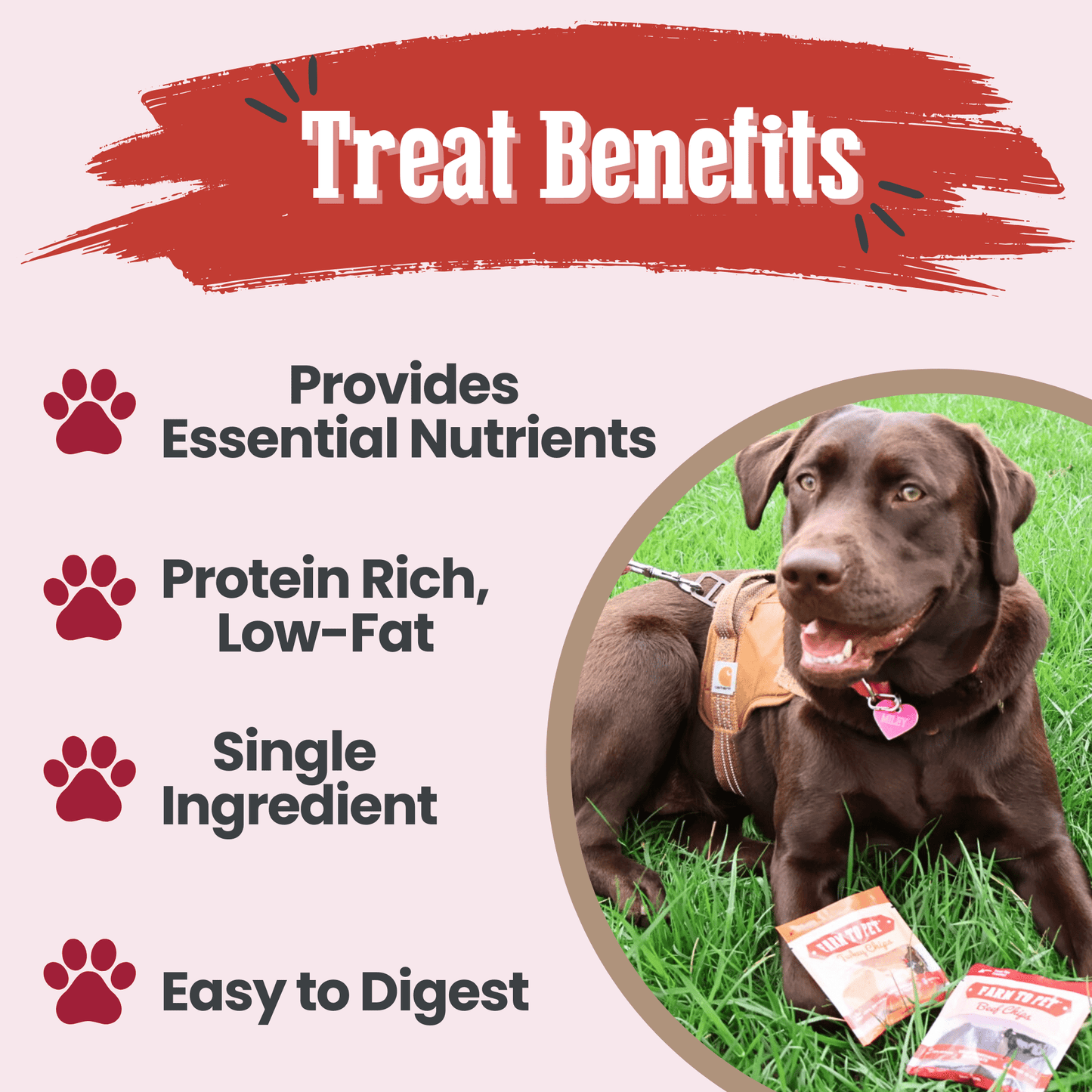 Puppy Packs Snacks Dog Treat Starter Pack Single-Ingredient