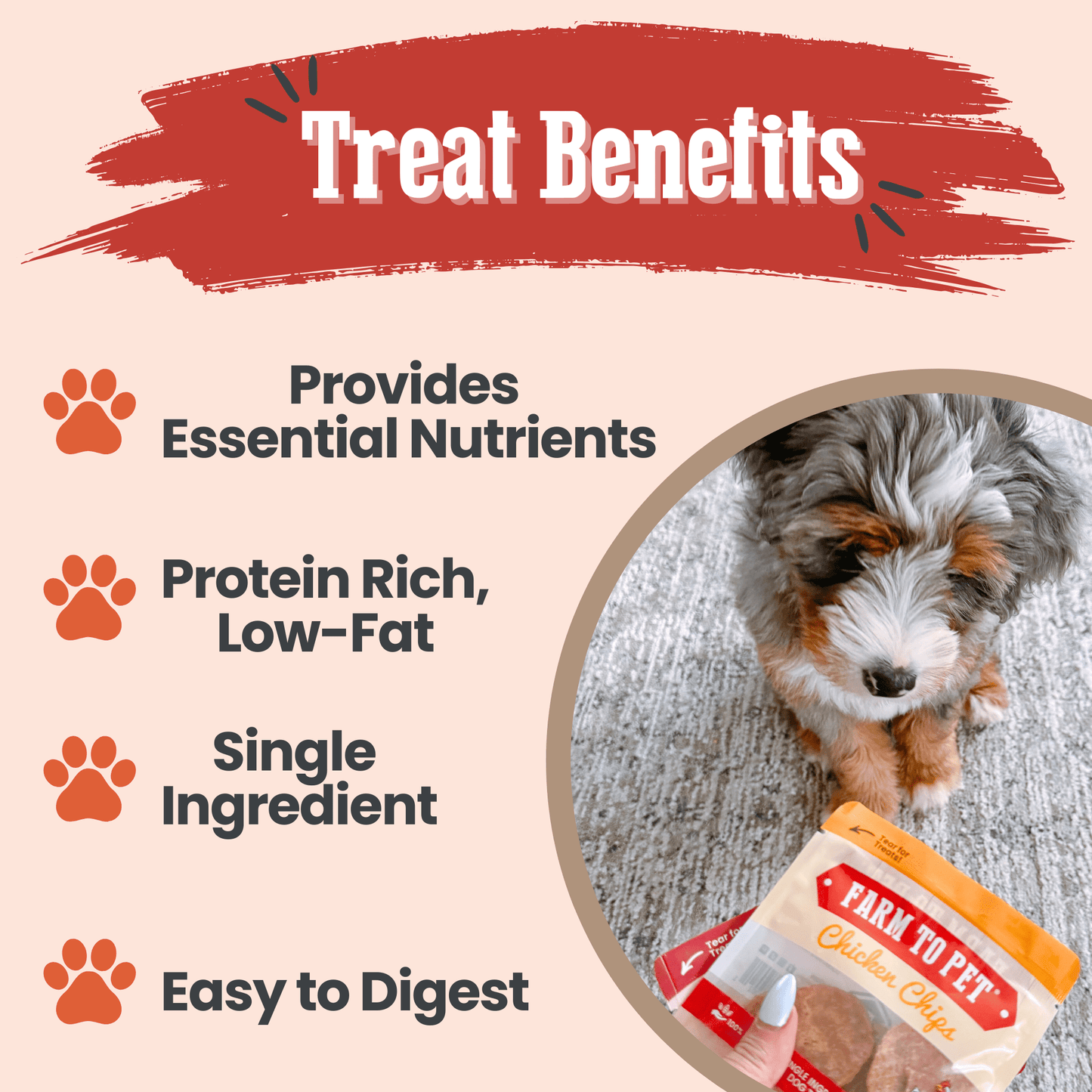 Puppy Packs Snacks Dog Treat Starter Pack Single-Ingredient