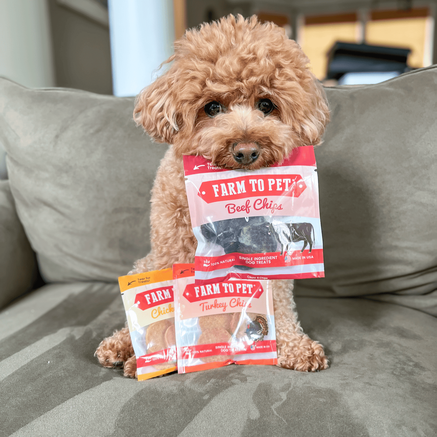 Puppy Packs Snacks Dog Treat Starter Pack Single-Ingredient