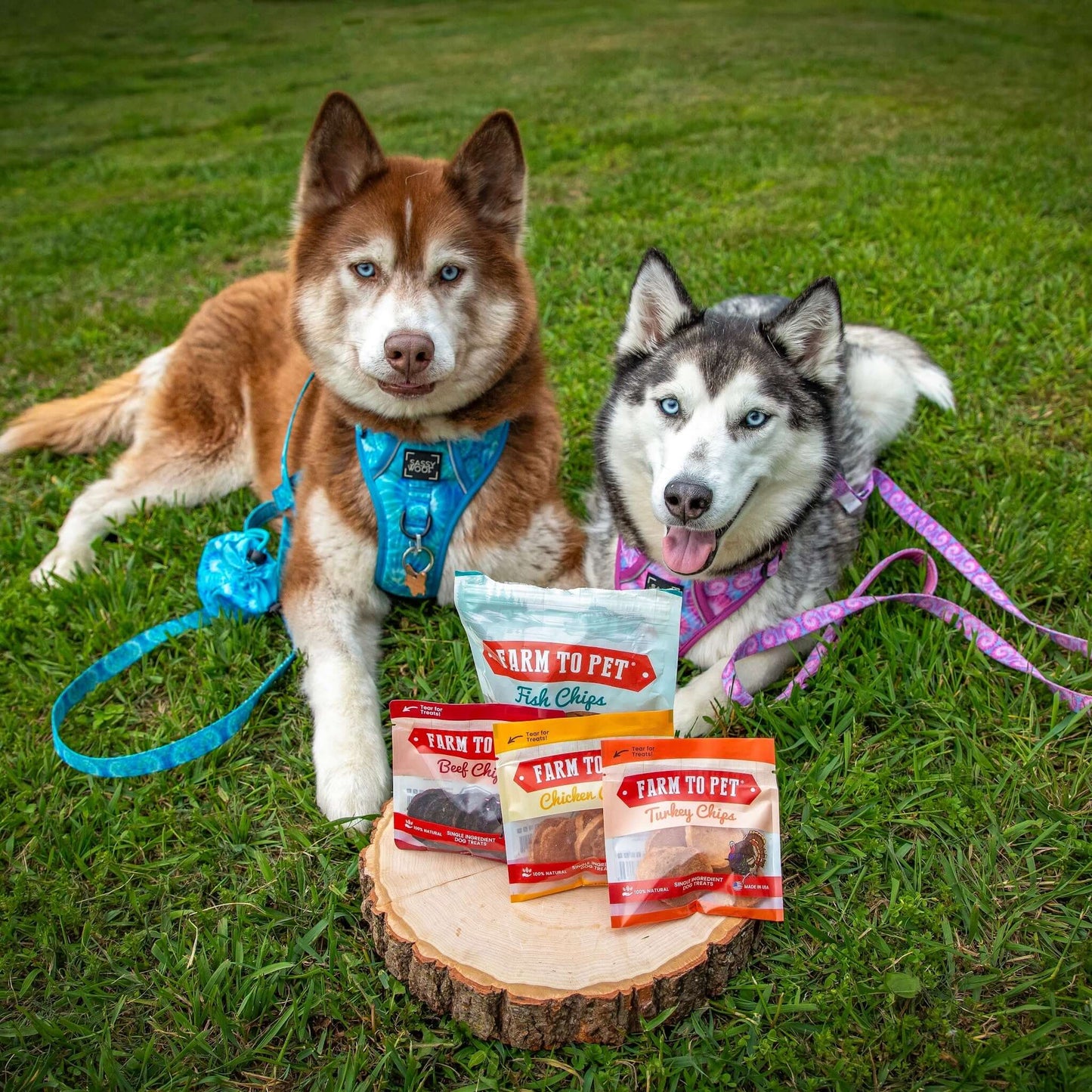 Puppy Packs Snacks Dog Treat Starter Pack Single-Ingredient