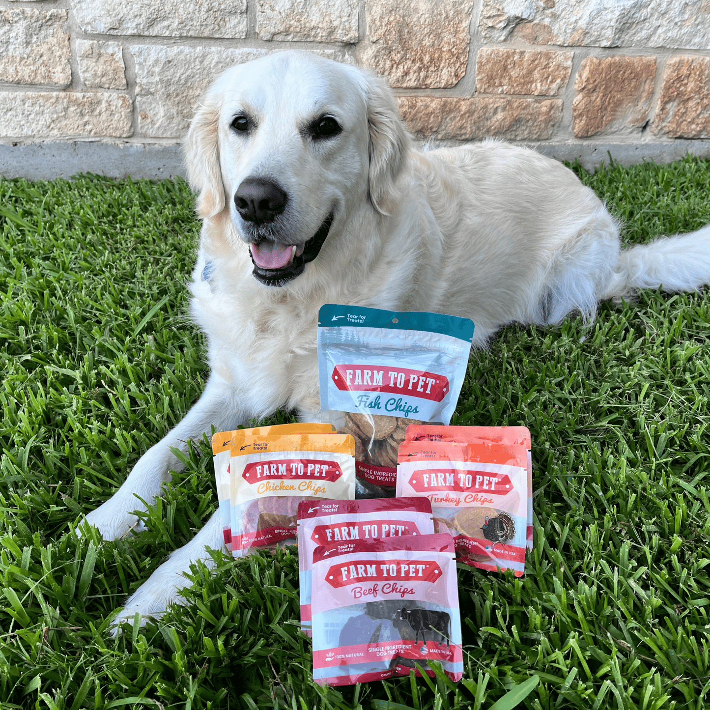 Puppy Packs Snacks Dog Treat Starter Pack Single-Ingredient