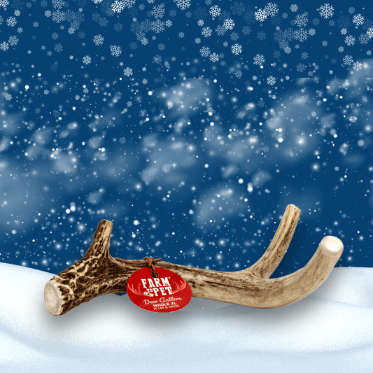 Deer Antler Dog Chews | Organic Chews for Dogs