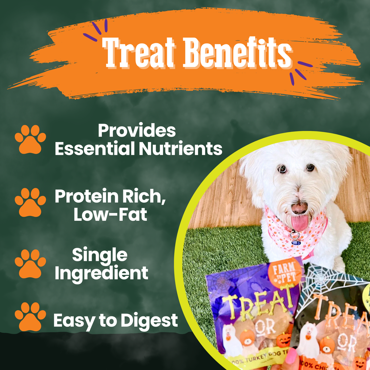 Farm to Pet Halloween Dog Treat Snack Pack Bundle