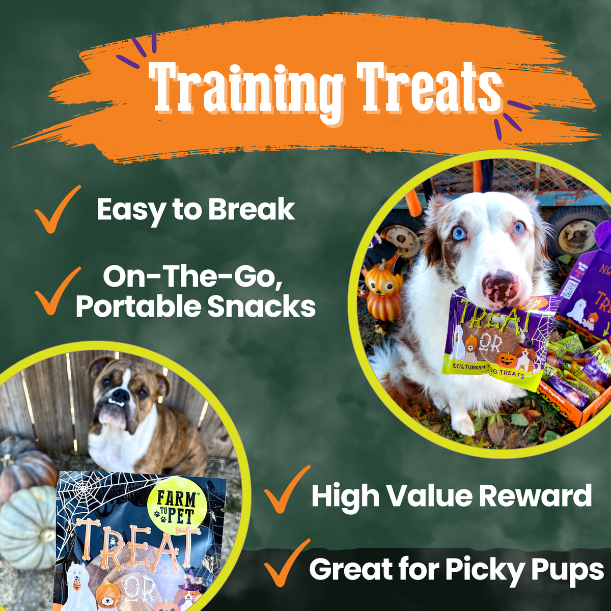 Farm to Pet Halloween Dog Treat Snack Pack Bundle