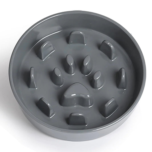 Healthy Pace Feeder Bowl for Dogs