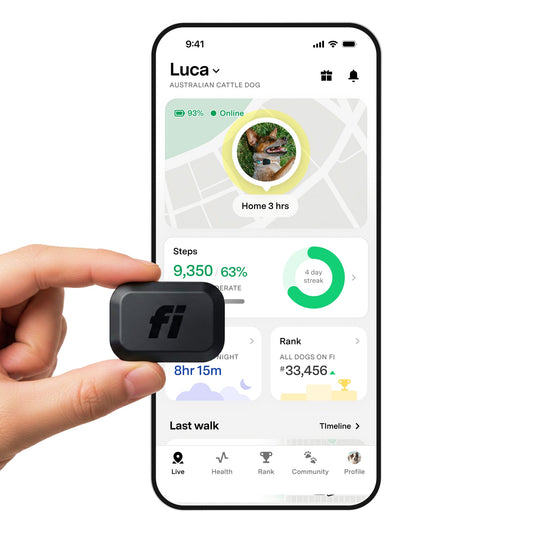 Fi Mini GPS Tracker for Dogs 6-Month Membership Included Smart Pet Tracking Collar Attachment Lightweight