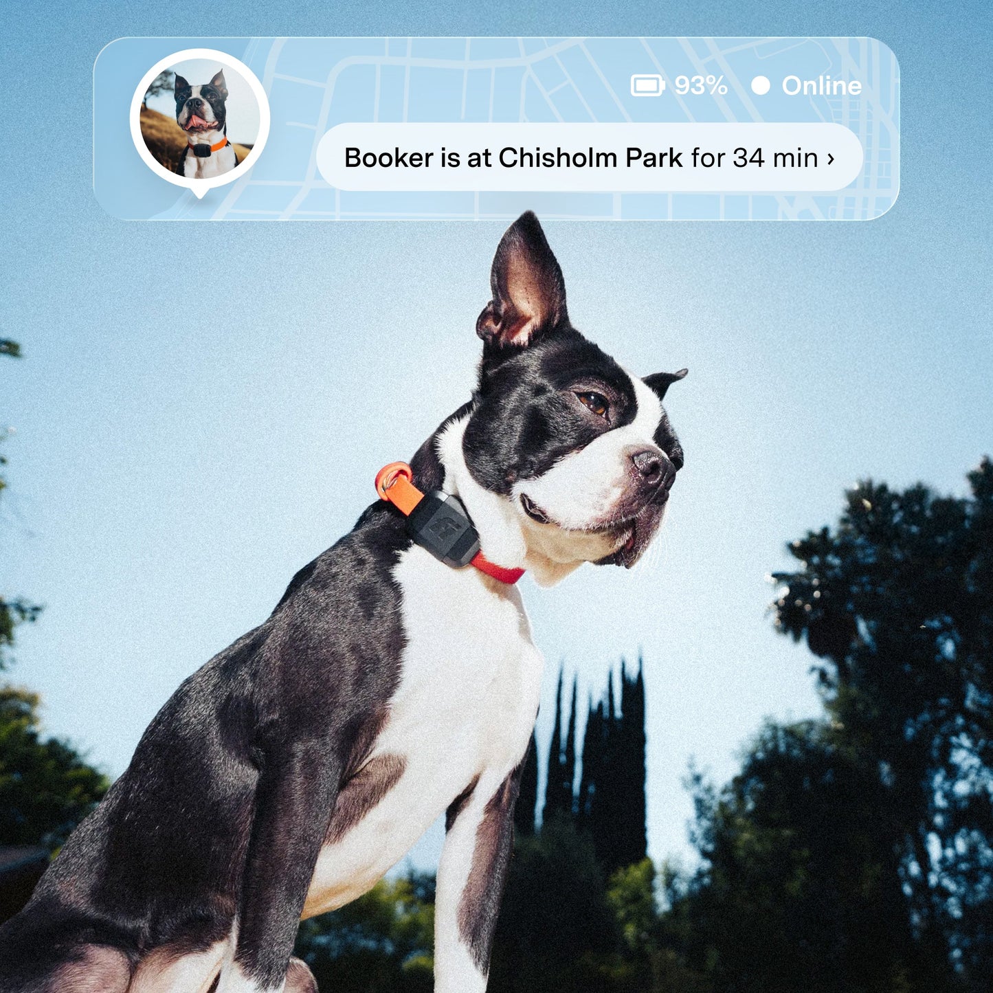 Fi Mini GPS Tracker for Dogs 6-Month Membership Included Smart Pet Tracking Collar Attachment Lightweight