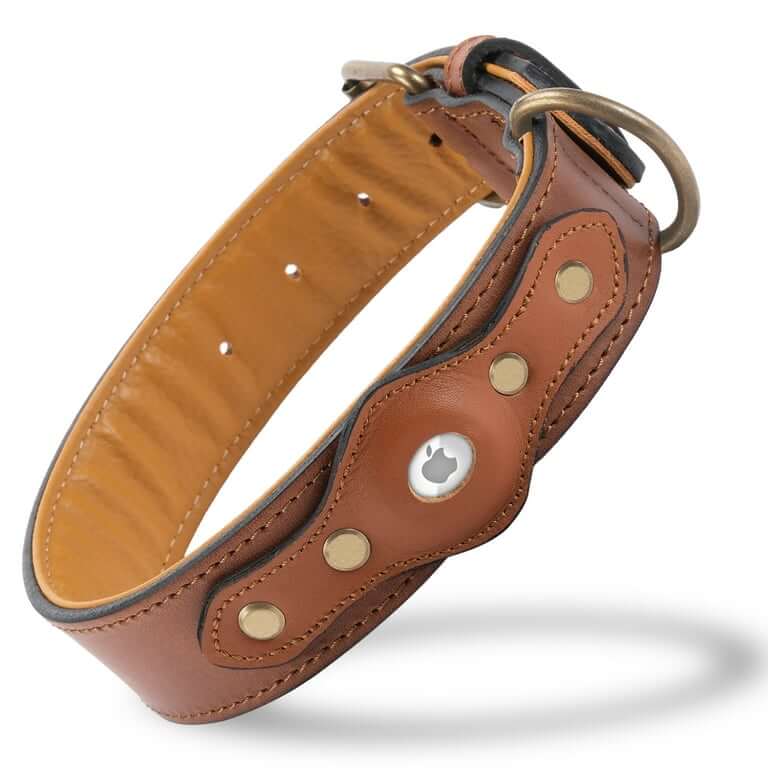 Airtag Luxury Leather Dog Collar with Airtag Holder