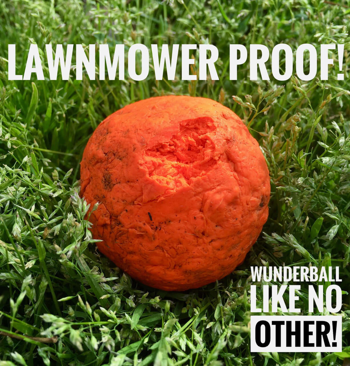 WUNDERBALL - Best Fetch Toy