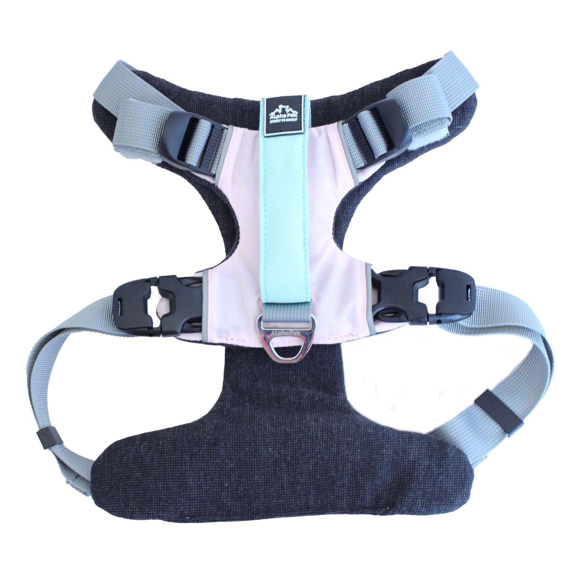 Everyday Adventure Dog Harness with EZ Fit straps and buckles for quick adjustments and secure fit.