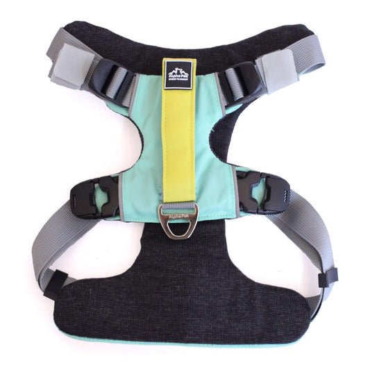 Everyday Adventure Dog Harness featuring EZ Fit straps and buckles for quick adjustments.
