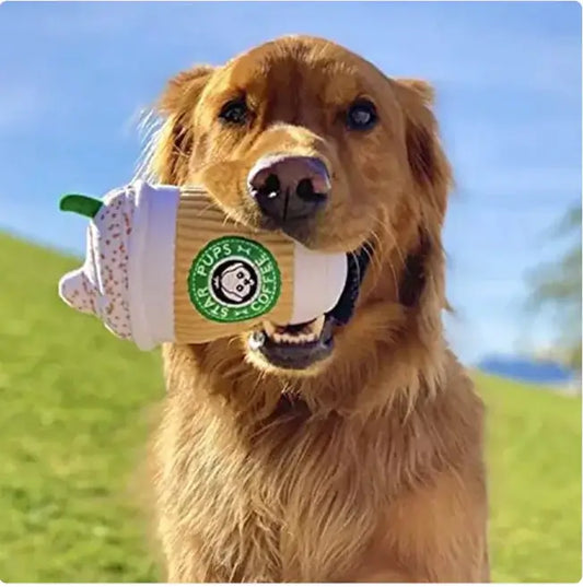 Pumpkin Spice Latte Squeaky Plush Dog Toy