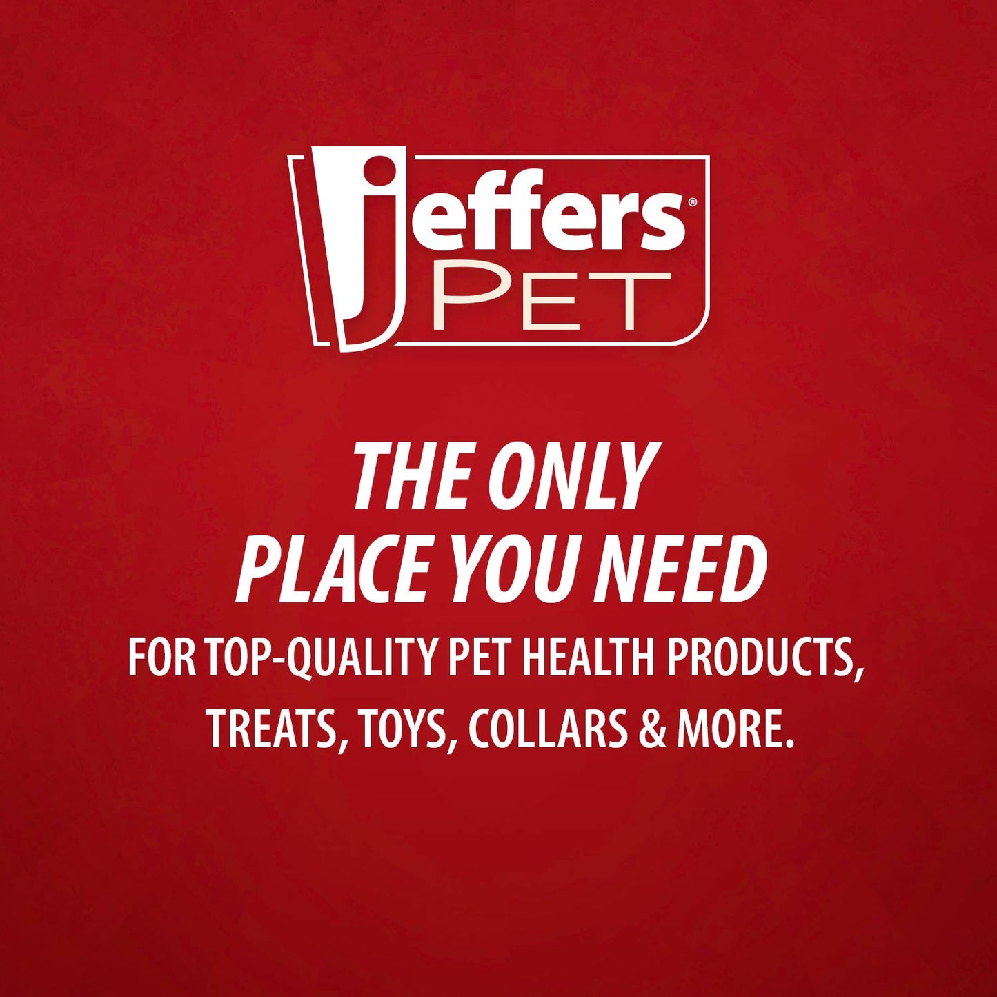 Jouet à mâcher dentaire couineur en caoutchouc naturel pour chien, Jeffers, fraise couineur