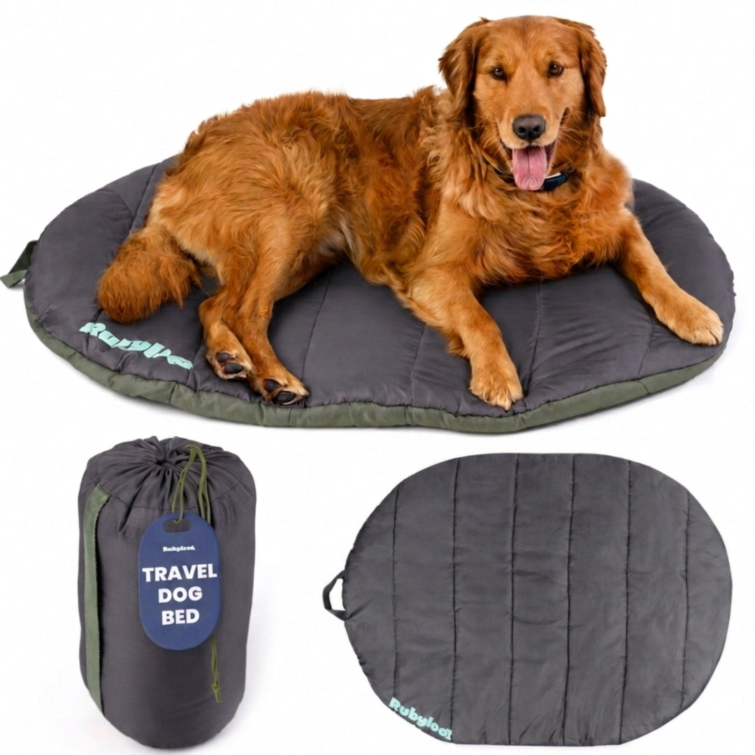 Lit de voyage pour chien - Pliable et compact pour les voyages en voiture et le camping