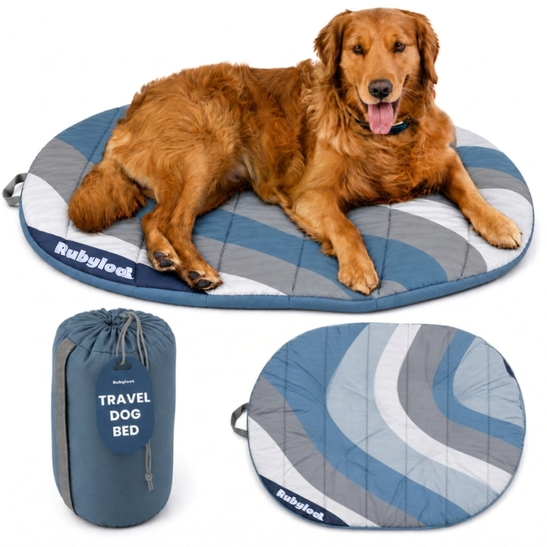 Lit de voyage pour chien - Pliable et compact pour les voyages en voiture et le camping